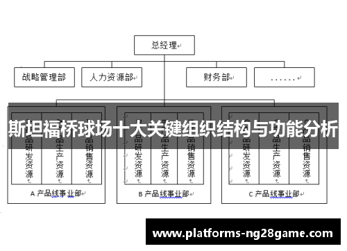 斯坦福桥球场十大关键组织结构与功能分析